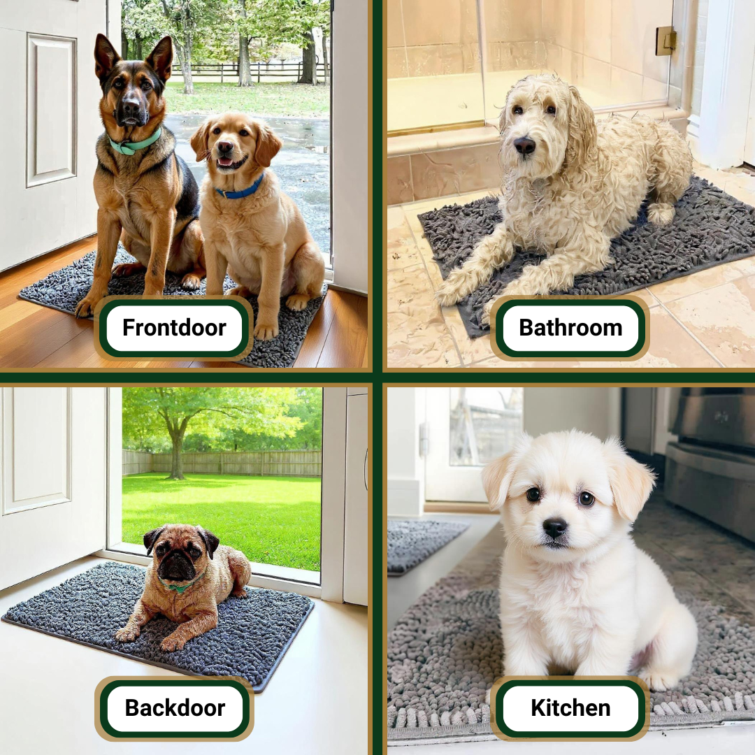 PawRug™