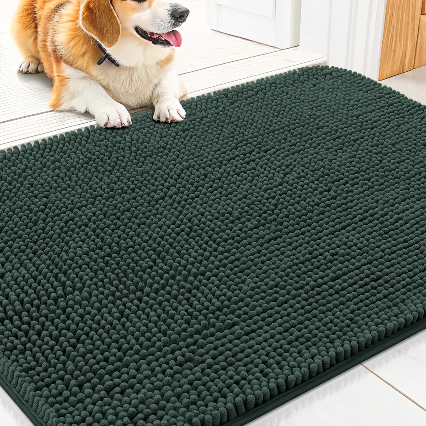 PawRug™