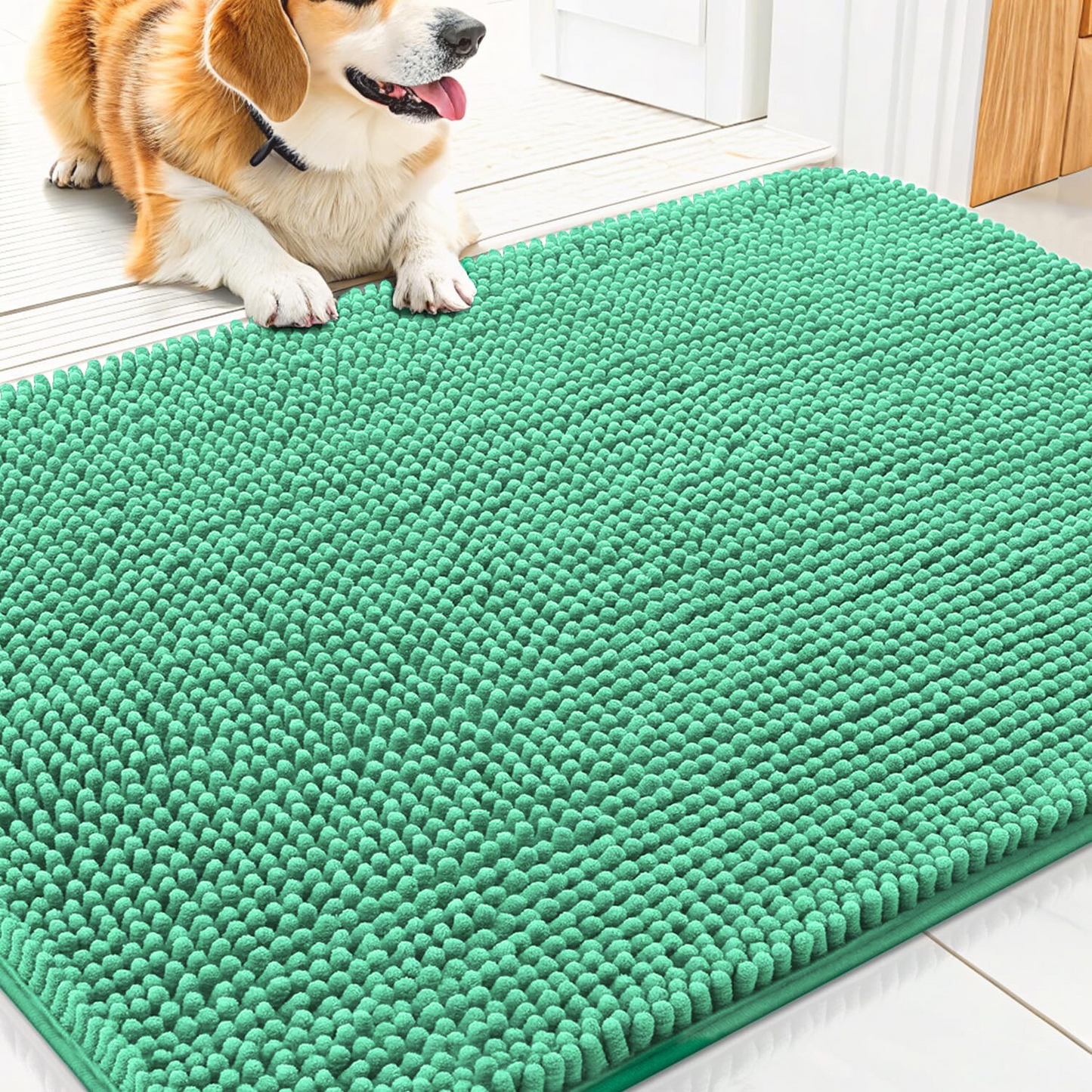 PawRug™