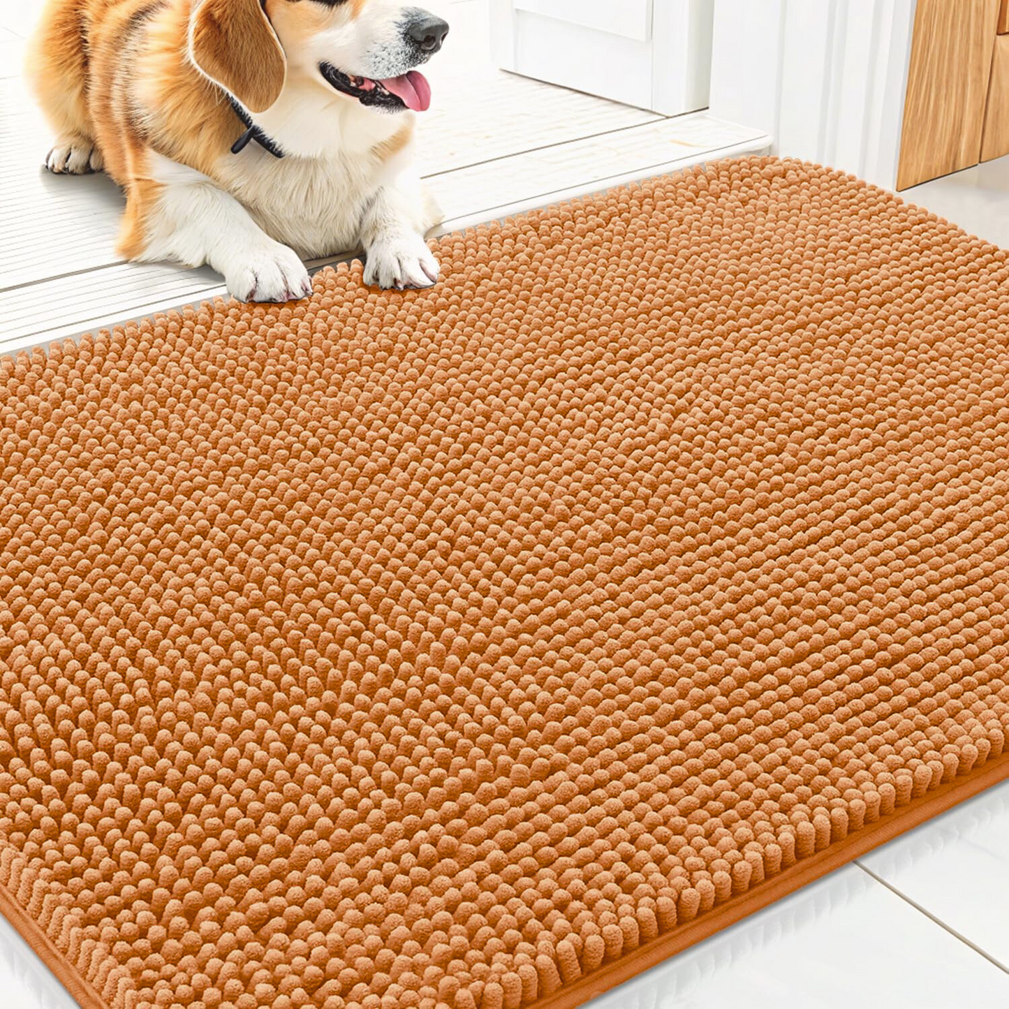 PawRug™