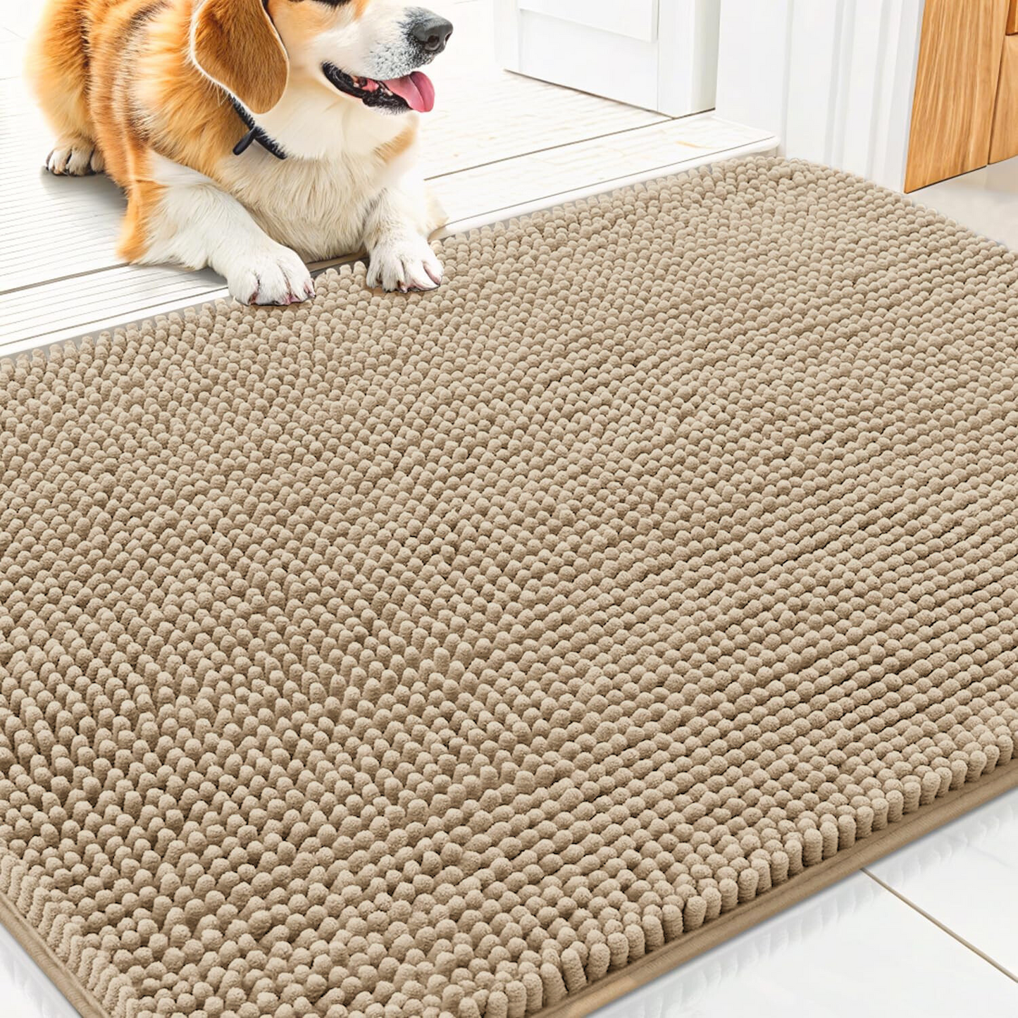 PawRug™